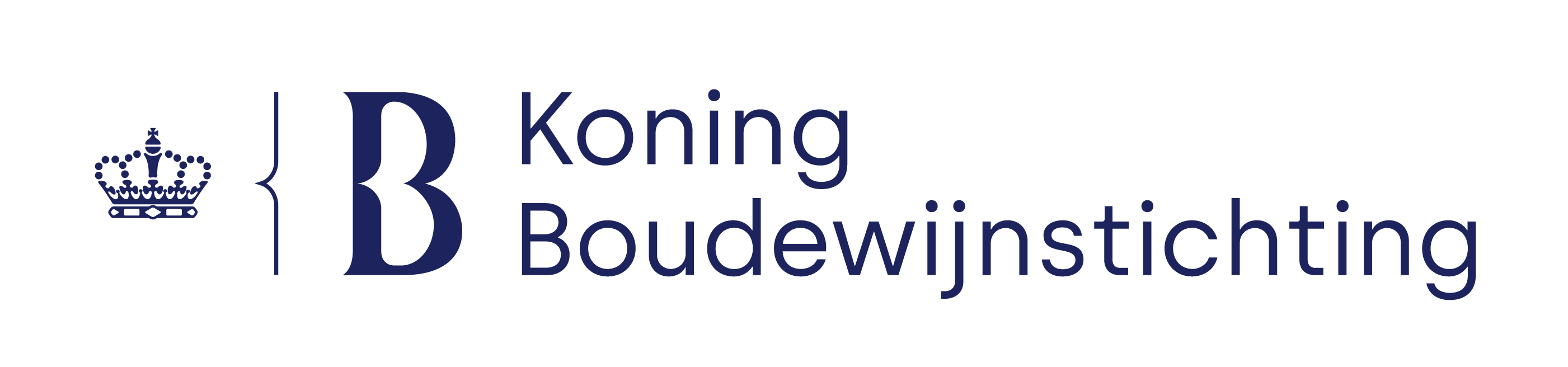 Koning Boudewijnstichting startpagina